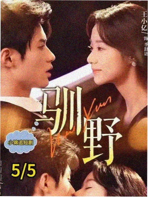 飘猴哥影院最新电视剧 黑土无言